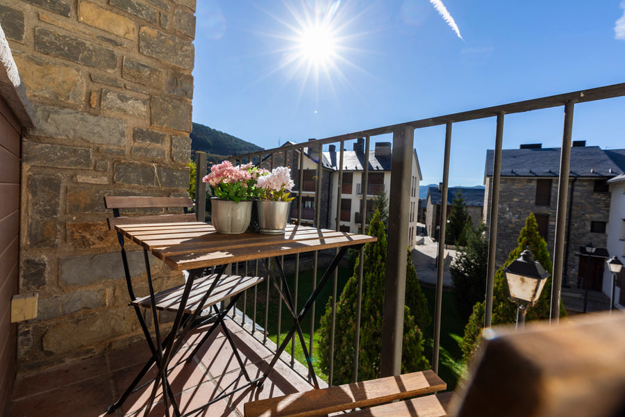 Patio trasero