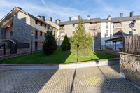 Patio trasero
