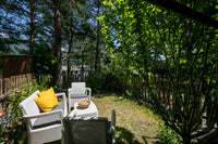 Patio trasero