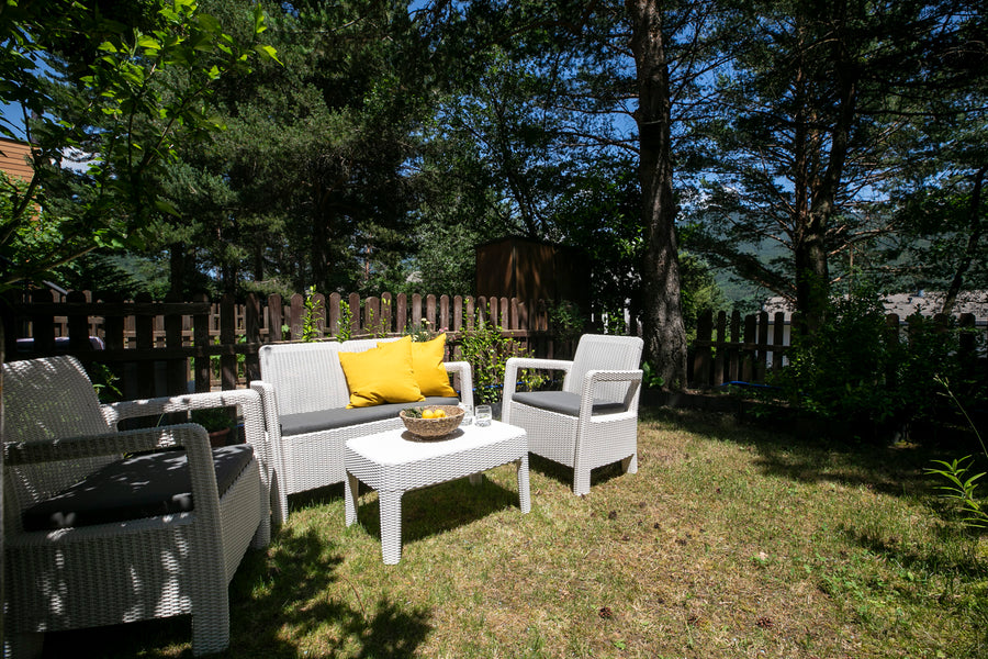 Patio trasero