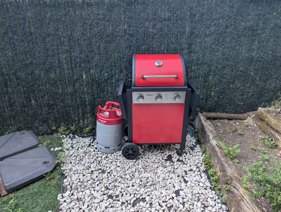 Patio trasero