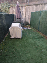 Patio trasero